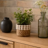 Panier cache-pot